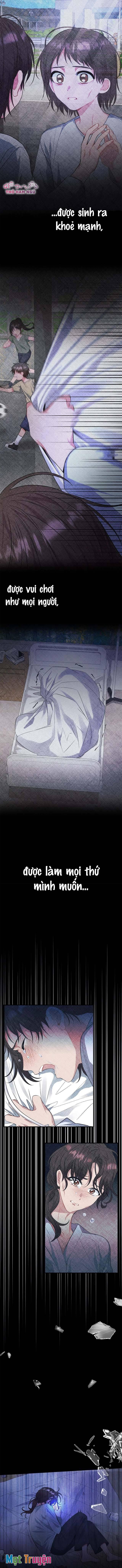 Có Nhiều Nam Chính Quá Đi! - Chapter 14