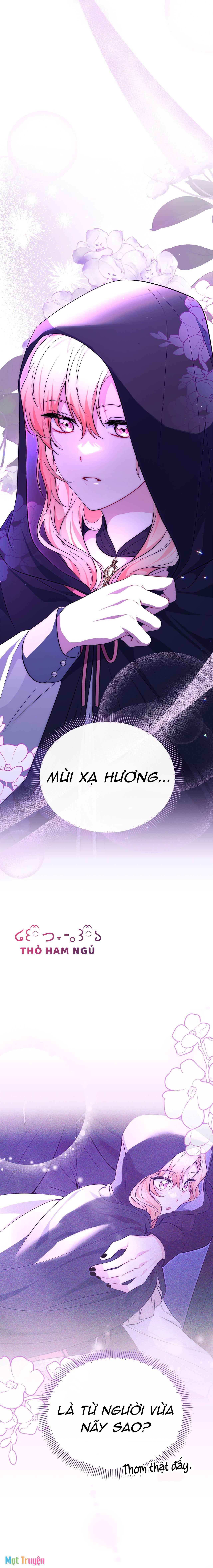 Có Nhiều Nam Chính Quá Đi! - Chapter 23